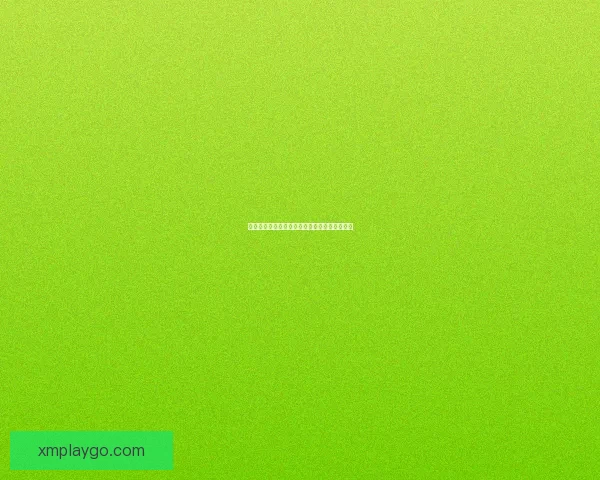 熊猫体育平台服务体验全面解析与用户口碑评价