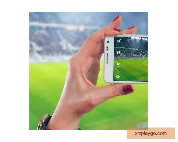 世界杯竞猜稳定平台推荐指南助你轻松赢取丰厚奖励